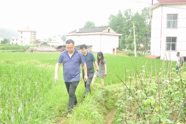 1497843419476056219.jpg DSC_2385.jpg