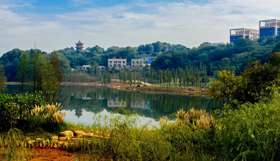 1458539923158044118.jpg 1458539923158044118.jpg