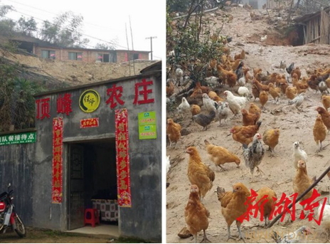 1460619411738024185.png 1460619411738024185.png